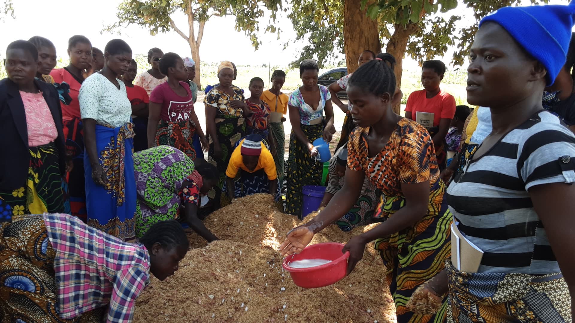 The Nthanda Women Mushrooms Project